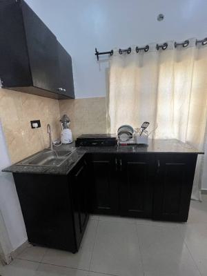 4 Bedroom Furnished Terrace House with 3kva Generator, Conservation, Lekki, Lagos, Terraced Duplex for Rent