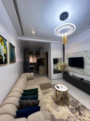 Furnished Room and Pallor in a Secured Neighborhood, Ologolo, Lekki, Lagos, Mini Flat (room and Parlour) for Rent