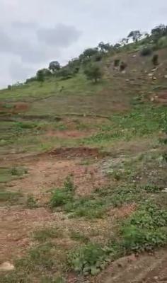 a Standard, Solid, Juicy Land, Maitama 2, Maitama District, Abuja, Mixed-use Land for Sale