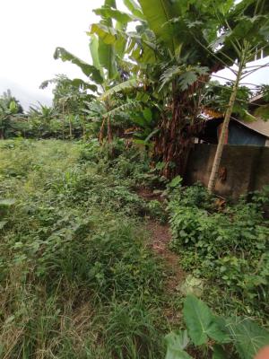 Fantastic Plot of Land with Borehole Dug Already, Shelter Afrique Estate Extension, Uyo, Akwa Ibom, Residential Land for Sale