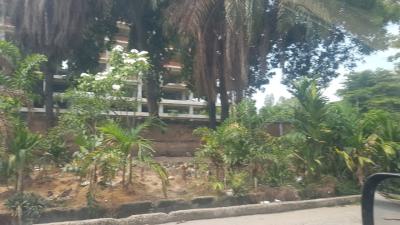 Bareland Measuring Apprx. 4,000sqm on Temple Road, Old Ikoyi, Ikoyi, Lagos, Mixed-use Land for Sale