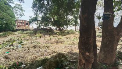 Land, Chime Avenue New Haven, Enugu, Enugu, Commercial Land for Rent