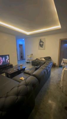 Very Massive and Spacious Three (3) Apartment Available for Investors, Brains and Hammer City, Life Camp, Abuja, Flat / Apartment for Sale