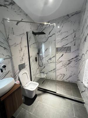 Fully Furnished 1 Bedroom Apartment, Ologolo, Lekki, Lagos, Mini Flat (room and Parlour) for Sale