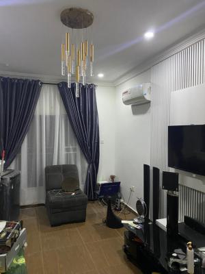 Luxurious Massive 1 Bedroom Flat with 2 Toilets, Near Zatech, Wuye, Abuja, Flat / Apartment for Rent