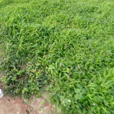 Plots of Land in Opic Estate, Cbd,area 8, Agbara, Ado-odo/ota, Ogun, Mixed-use Land for Sale