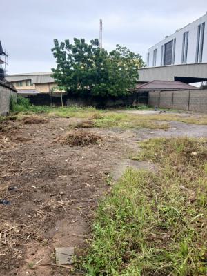 Hot Joint Venture, Serene Area Oregun, Ikeja, Lagos, Mixed-use Land Joint Venture