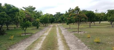 a Resort Estate Land with Verified Documents, Phase 2, Jikwoyi, Abuja, Residential Land for Sale