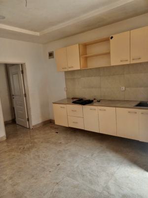 a Spacious Miniflat with Open Plan Kitchen, Anifowoshe, Ikeja, Lagos, Mini Flat (room and Parlour) for Rent