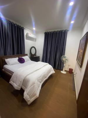 Luxury 1 Bedroom Flat with Excellent Finishing, By Zartech, Wuye, Abuja, Mini Flat (room and Parlour) for Rent