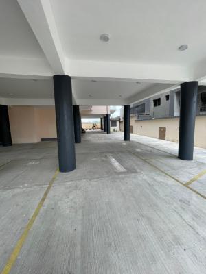 Newly Built 2 Bedroom Penthouse with Bq, Lekki Phase 1, Lekki, Lagos, Flat / Apartment for Rent