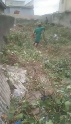 a Standard, Executive Half Plot of Land, Ilaje Road, Bariga, Shomolu, Lagos, Mixed-use Land for Sale