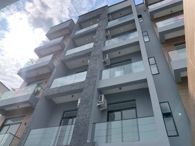 Brand New Luxurious 2bedroom Apartment with Excellent Finishing and El, Ikate, Ikate, Lekki, Lagos, Flat / Apartment for Rent