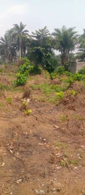 Standard 1 Plot of Land with Survey Plan and Registered Deed of Convey, Army Range, Off Eneka Igwuruta Road, Eneka, Port Harcourt, Rivers, Mixed-use Land for Sale