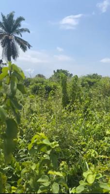 Strategic Commercial & Residential Land, Ifo Area of Ibogun / Opeyika, Ifo, Ogun, Mixed-use Land for Sale