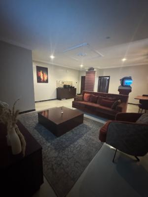 Fully Finished One Bedroom, Hamed Onibudo Street, Victoria Island (vi), Lagos, Mini Flat (room and Parlour) for Rent