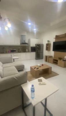 Fully Furnished & Serviced Miniflat, Ikoyi, Lagos, Mini Flat (room and Parlour) for Rent