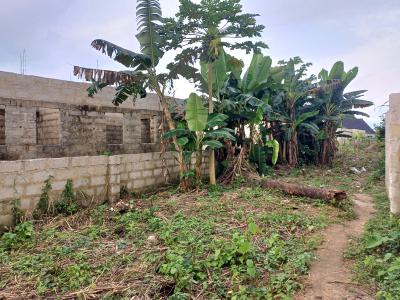 Buildable 2 Plots of Land, Ompadec Road Igwuruta, Port Harcourt, Rivers, Residential Land for Sale