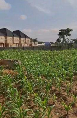 1,547.50sqm, Residential, C of O, Dakibiyu, Abuja, Residential Land for Sale