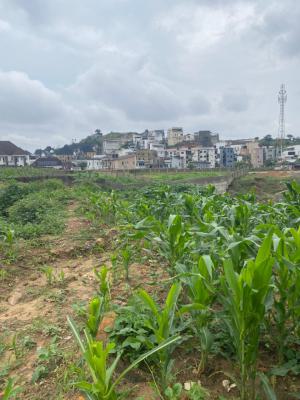 2000sqm Land with Cofo After Coza , Tarred Road, Guzape After Coza, Guzape District, Abuja, Residential Land for Sale