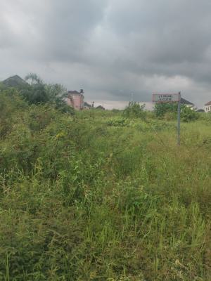 Plot of Land Measuring 500sqm in Cityview Estate Warewa, Cityview Estate Warewa, Berger, Arepo, Ogun, Residential Land for Sale