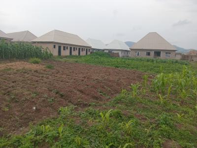Land for 5 Bedrooms Semi Detached Duplex Penthouse, Allison Court, Dei-dei, Abuja, Residential Land for Sale