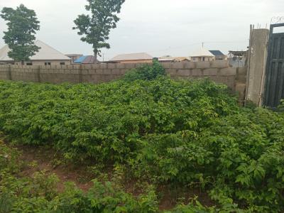 4 Bedroom  Fully Detached Penthouse with Duplex  Attached Bq, Allison Court, Dei-dei, Abuja, Residential Land for Sale