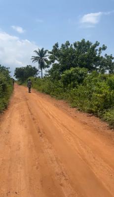 Prime 7,200sqm Land Beside Obasanjo Farm -- Ibogun, Ogun State, Ifo, Ibogun Akiode Opeyika, Ogun State, Ifo, Ogun, Mixed-use Land for Sale