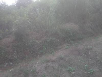 9 Plots of Land, Opposite Passport Office Ikeja, Ikeja, Lagos, Land for Sale