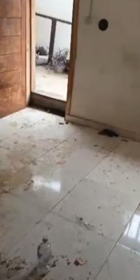 Relatively New Room Self Contain, Shiro, Jibowu, Yaba, Lagos, Self Contain (single Rooms) for Rent