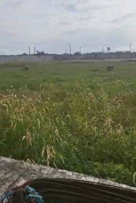 Land Measuring 5,000sqm (video Available on Request), Ajah, Lagos, Residential Land Joint Venture