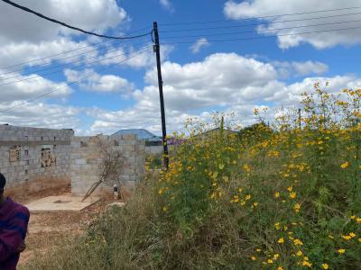 Residential Land with a Foundation on It, Ifo, Ogun, Residential Land for Sale