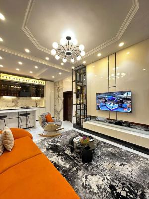 Beautifully Furnished One Bedroom Apartment with Bathub (greece), Chevron, Lekki, Lagos, Mini Flat (room and Parlour) Short Let