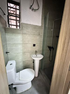 Luxurious Standard 1 Bedroom Flat with Excellent Facilities, Orchid Road, Lekki, Lagos, Mini Flat (room and Parlour) for Rent