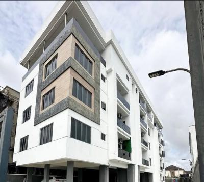 Luxury Fully Furnished 2 Bedroom Apartment, Ikate, Ikate, Lekki, Lagos, Flat / Apartment for Rent