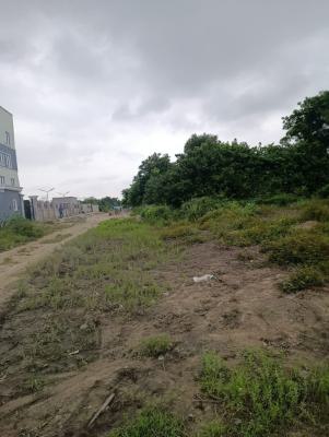 Developers Delight.. a 1249sqm of Corner Piece, Dry Land, Inside Ajayi Apata New Town Estate By Lufasi Park, Sangotedo, Ajah, Lagos, Residential Land for Sale