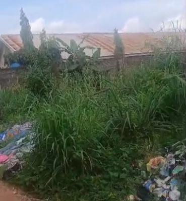 100ft By 100ft Land, Ebo Community, Airport Road Gra, Benin, Oredo, Edo, Residential Land for Sale