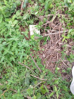 Genuine Cheap Land Facing The Expressway, Facing Enugu - Onitsha Expressway, Trans Ekulu, Enugu, Enugu, Land for Sale