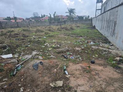 Buy and Build Land with Federal Government C of O, Festac, Amuwo Odofin, Lagos, Land for Sale