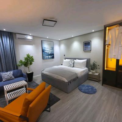 Furnished and Serviced 1 Bedroom Apartment Jabi, Jabi, Abuja, Flat / Apartment Short Let
