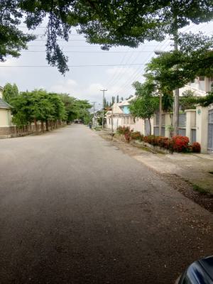 4-bedroom Semi-detached Duplex with Bq, Gwarinpa, Abuja, Detached Duplex for Sale