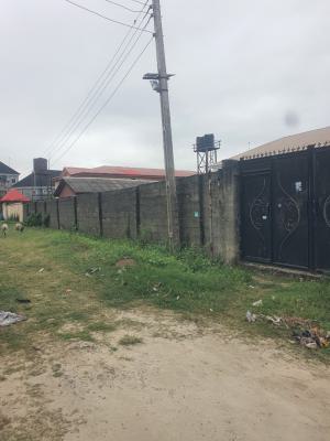 Well Fenced and Gated Dry Land in a Secured and Serene Estate, Addo-badore Road, Badore, Ajah, Lagos, Mixed-use Land for Sale