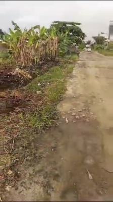 Premium Land for Joint Venture, Lekki Scheme 2, Off Ogombo Road Ajah, Lekki, Lagos, Land Joint Venture
