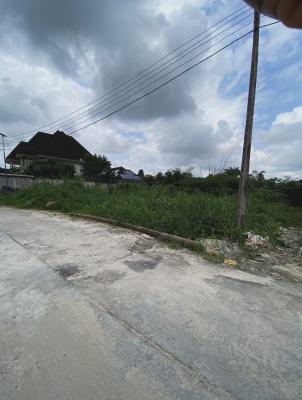Standard 1 Plot of Land with Maximum Security & Constant Electricity, Cocaine Estate (hill View Estate), Rumuogba  Port Harcourt Nigeria, Port Harcourt, Rivers, Mixed-use Land for Sale