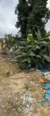 Two Plot of Land for Sm with Title Cofo Already Fenced and Gated in, Oko-oba, Agege, Lagos, Land for Sale