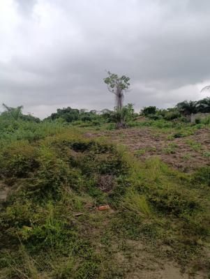 1249sqm of Corner Piece Land in Ajayi Apata, Ajayi Apata, Sangotedo, Ajah, Lagos, Residential Land for Sale