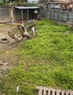 Half Plot Measuring 200sqm at Onike, Yaba, Onike, Yaba, Lagos, Land for Sale