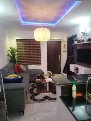 Exquisite One Room and Parlor in a Secured Estate, New Horizon 2 Estate, Ikate Lekki, Ikate, Lekki, Lagos, Mini Flat (room and Parlour) for Rent