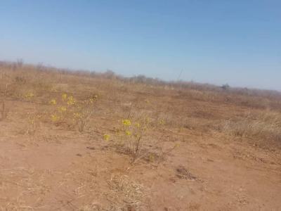 Residential Estate Land with Dry Topography, Asokoro District, Abuja, Residential Land for Sale