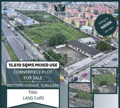 15810 Sqm, Surulere, Lagos, Mixed-use Land for Sale